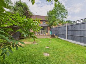 rear view foliage- click for photo gallery